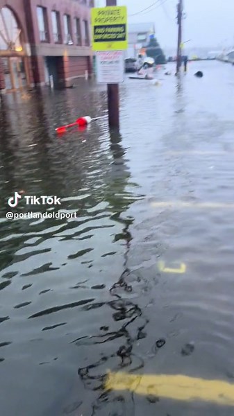 Kegs Floating Down Portland Pier! Where to Return Kegs Near Me