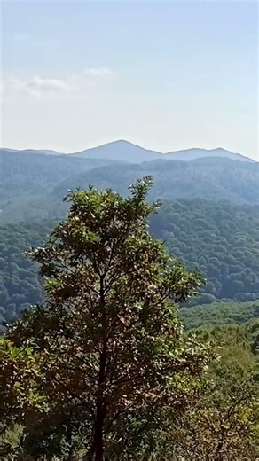 Ipolytölgyes túra II.