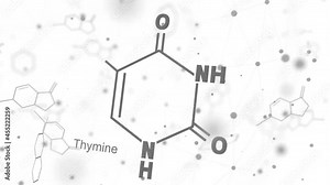 Chemical structural formula of thymine - DNA and RNA nitrogen base