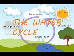 Water Cycle for kids | Learn about the Water Cycle