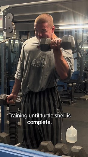Turtle Shell Back Bodybuilding Training and Fitness Motivation