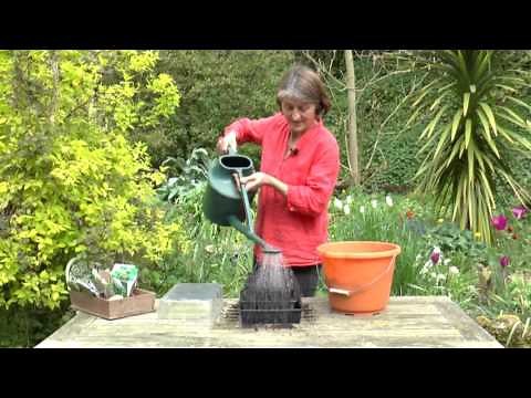 How to use Rootrainer modules