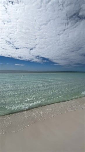 🎙️ “Mike from Dallas says DestinFM keeps him connected to the coast — even when he’s stuck in traffic.” Thousands of listeners just like Mike are planning their next Destin getaway while they listen. 💬 Download the DestinFM app free in the App Store or Google Play — just look for the speech bubble! | DestinFM