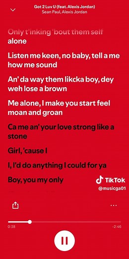 Got 2 Luv U - Sean Paul & Alexis Jordan Lyrics