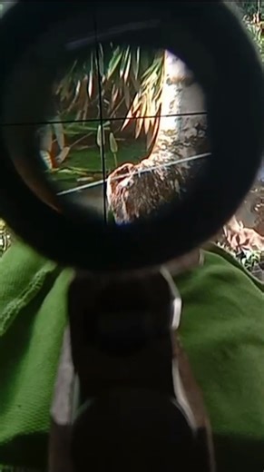 #8 How to Calibrate a Scope for Accurate Targeting