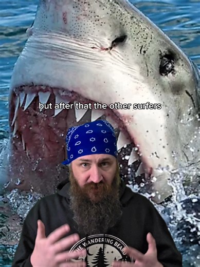 In September of 2025 experienced surfer Mercury Psillakis was out catching some waves at long reef beach in Australia. Mercury saw something in the water that no surfer would ever want to see. Fear and chaos broke out amongst all the other surfers nearby and people on the beach watched in terror at the events that followed next. #truestory #scary #shark #attack #ocean