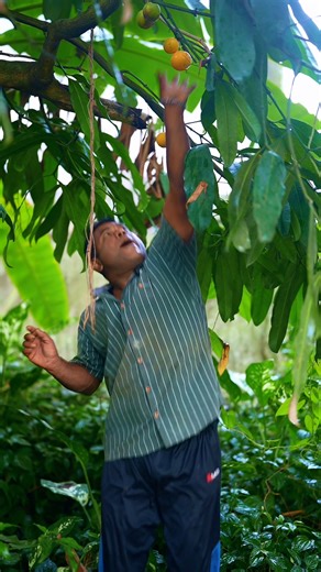 Kelum Randima on Instagram: "Rata Goraka ASMR 🎧🍒 | Real Natural Crunch!"