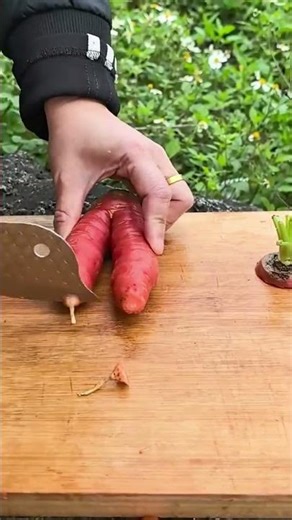 slicing a long red carrot on a wooden cutting board into many small and thin round pieces