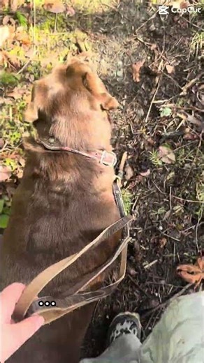 How do you clear your head? #foryou