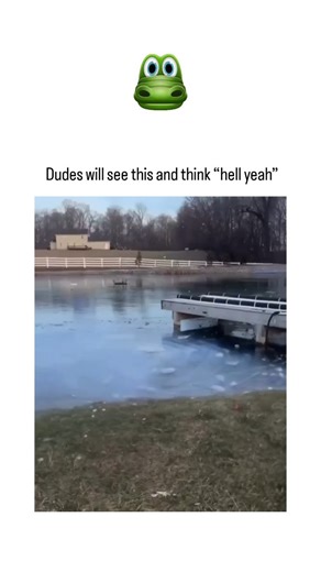 funflix on Instagram: "The post features a 18-second video of a man using a blue-handled blowtorch to melt a hole in frozen pond ice near a dock, followed by hammering it open amid steam and laughter, captioned to mock stereotypical male enthusiasm for destructive feats. It garnered over 3.5 million views and 15,000 likes within days, sparking polarized replies: some celebrate the "hell yeah" vibe as peak masculinity, while others decry it as reckless, citing risks to hibernating fish. Aquacultu