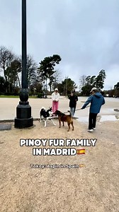 Last part ng Madrid travel vlog. May na recruit si Tokoy: Aspin in Spain na maging apprentice niya sa kanyang kalkal-lupa operasyon. Kilalanin!😂 #aspininspain #furfamily #Tokoy #fypシ | Lindalicious El