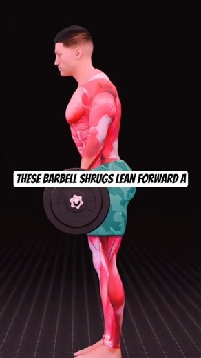 Day 1 -- The ONLY Beginner Body Workout You Need 🔥🔥 #fitness #shorts