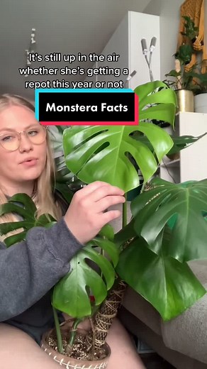 Nicole Larson on TikTok