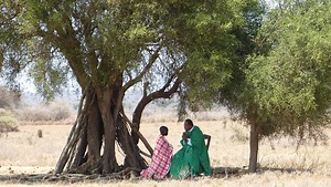 Beschwerden über «laute» Kirchen in Kenia – kath.ch