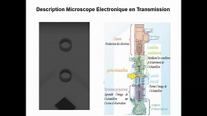 RIME : Microscope électronique à balayage et en transmission : Fonctionnements | Canal U