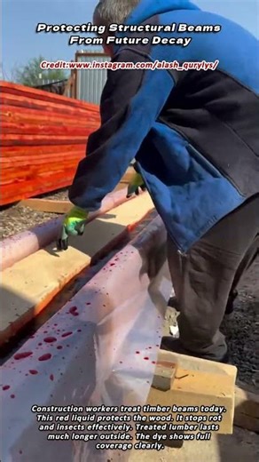 Protecting Structural Beams From Future Decay