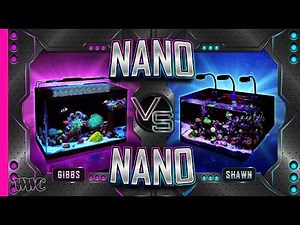 Two Budget Nano Reefs Go Head-to-Head — Which One Got It Right?