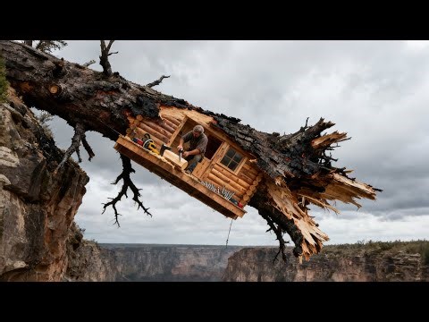 Building an inverted shelter under a fallen tree, surviving in the wilderness for 400 days.