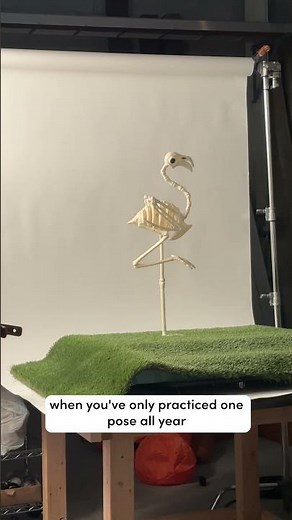 And dare we say it’s perfect. 🦩