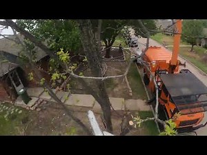 tree removal with bucket truck part 1 Arlington