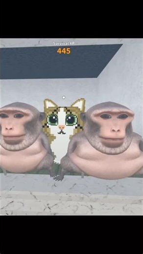 Two Birds on a Wire Meowl New Soul Roblox Mm2 #meowl #stealabrainrot #mm2 #cat #animation #fyp #cute