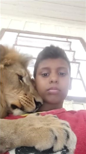 19 de março de 2026