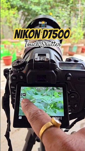 Nikon D7500 Touch focus settings| Nikon d7500 photography