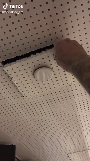 Sprinkler Life on TikTok