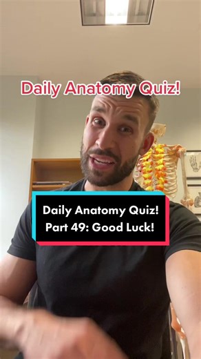 Anatomy and Physiology Quiz: Test Your Knowledge!