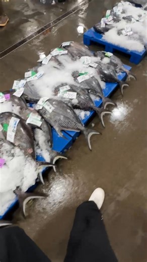 3 comments | The great value from the boats are the non-targeted fish. Ono, Monchong, Opah | Honolulu Fish Company | Facebook