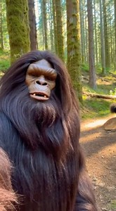 Bigfoot attempts his first handheld vlog in the forest, but his giant hands keep covering the camera. Bad angles, accidental drops, and nonstop laughter turn this into an unintentionally hilarious moment. Shot like a real phone vlog with natural forest sounds only — no music, no effects, just pure Bigfoot chaos. | Bigfoot Vlog Adventures