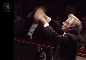 贝多芬Op.72歌剧《费德里奥》伯恩斯坦+维也纳国家歌剧院1978 中英双语2幕版 Beethoven opera Fidelio