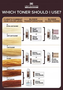 Which toner should I use?