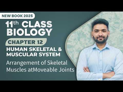 11th Class Biology Chapter 12 | Arrangements of Skeletal Muscles at Moveable Joints | New Book 2025
