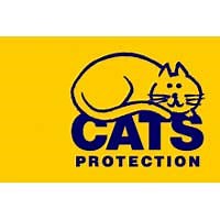 Understanding Feline Origins - an online Cats Protection learning resource