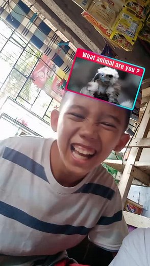 Dan Benson on TikTok