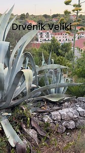 #Visit Drvenik #croatia# croatiaFullOfLife #trogir # Croazia #chorwacja# Kroatia # | Visit Drvenik Veliki