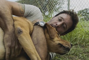 Hawaii Five-0 Boss Eases Fan Concerns About Eddie's Canine PTSD Storyline - TVLine