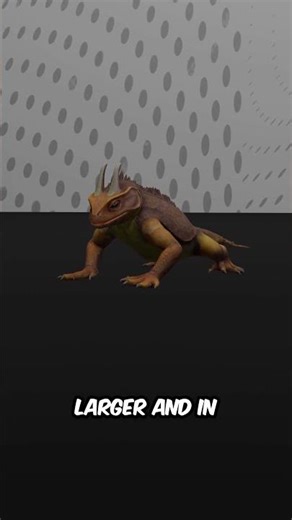 Horned Lizard Facts | The Master of Camouflage in the Desert