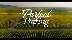 Victoria Justice | I present to you… the official trailer for my new film, A Perfect Pairing, coming to @Netflix on May 19! I had so much fun making this... | Instagram