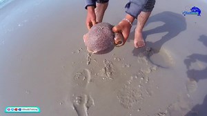 AYouB/Fishing on Reels