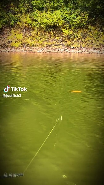 Muskie glides 9”#musky lures handmade