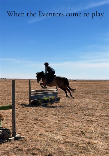 Pure joy from both horse and rider playing in the field #eventer #funlessons #wildthings #hunterjumper