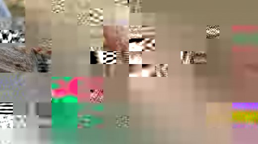 28K views · 112 reactions | Have you ever wondered what the inside of a growing antler looks like? Watch as Dr. Demarais explains growing antlers, showing what is inside a growing velvet antler! | MSU Deer Lab | Facebook