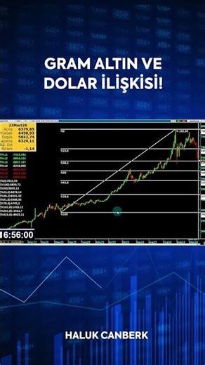 Watch Out for These Levels in Gram Gold! Gram Gold and Dollar Relationship #shorts