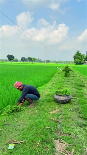 Exploring BalliBotMogis: The Future of Smart AI Technology