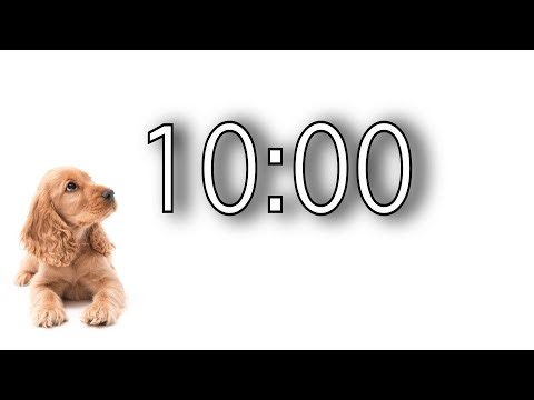10-Minute Timer (Puppy)