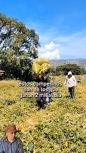 Puro mexicano power 💪 | Lo mejor de mi tierra