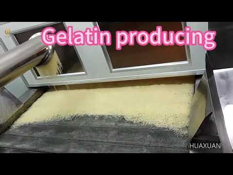 Gelatin Production Process