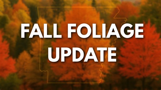 AST Blog: Arkansas Fall Foliage Update